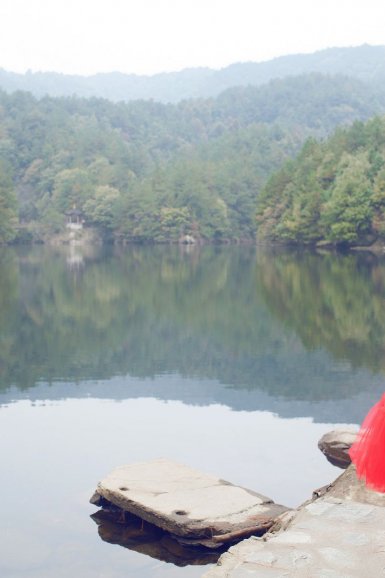 半岛·官方站线登入页面